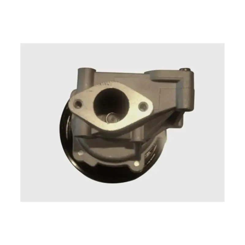High Quality DAY-DP738B - Engine Water Pump | Dayco