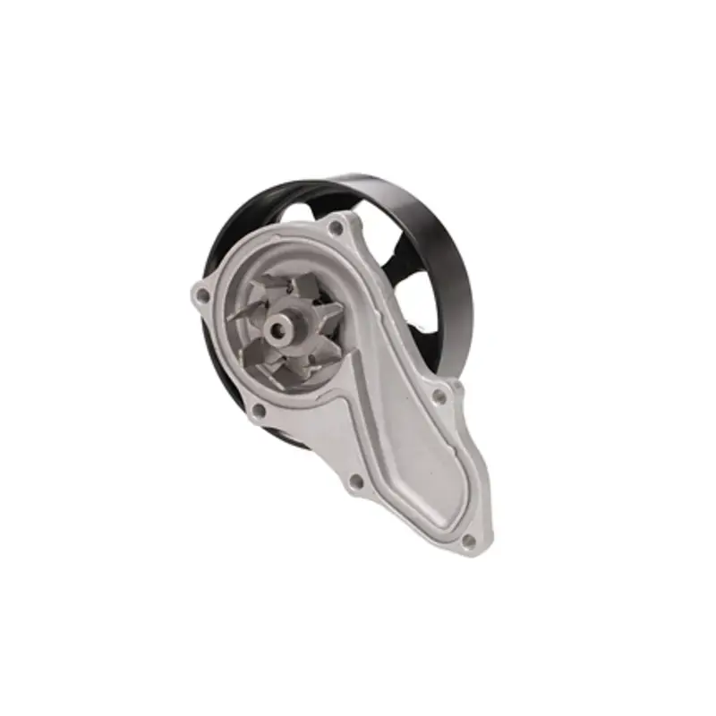 Buy Today DAY-DP462 - Engine Water Pump | Dayco
