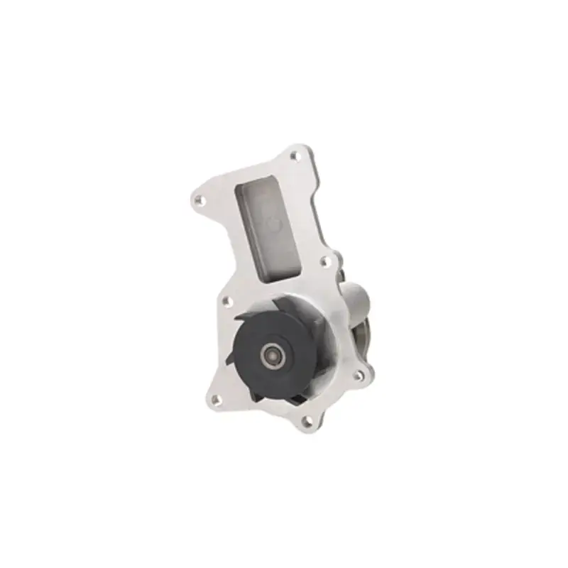 Express Delivery DAY-DP808 - Engine Water Pump | Dayco