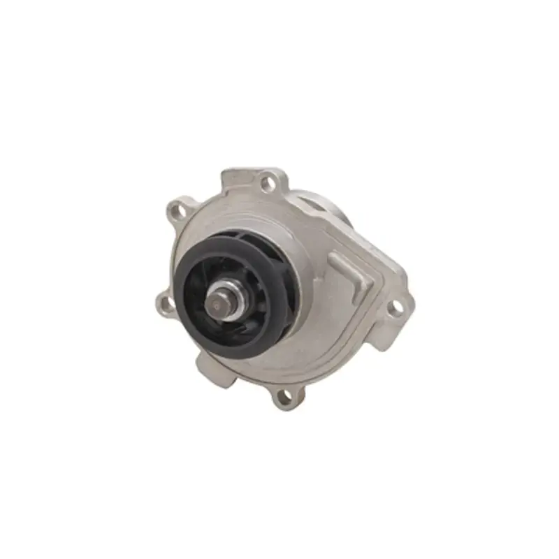 Special Offer DAY-DP191 - Engine Water Pump | Dayco