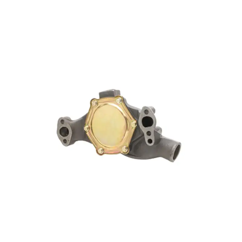 DAY-DP819 - Engine Water Pump | Dayco Affordable
