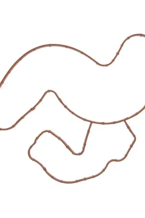 FEL-35907 - Engine Water Pump Gasket | FEL-PRO Shop Now