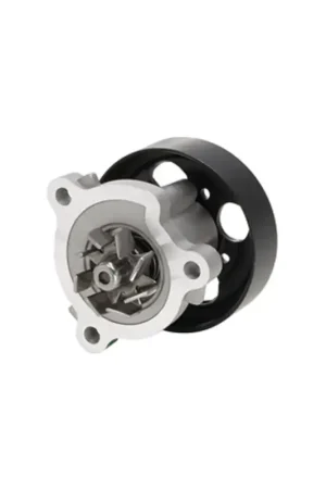 Special Offer DAY-DP453 - Engine Water Pump | Dayco
