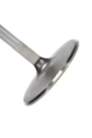Manley up to 2010 Dodge Viper V-10 2.020 Dia Race Master Intake Valves (Set of 10) Seasonal Sale
