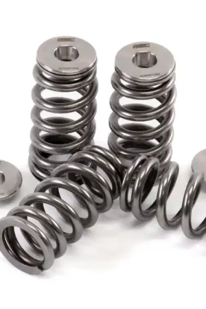 In Demand GSC P-D 2017+ Audi RS3 DAZA Beehive Valve Spring and Ti Retainer Kit (60PSI Max Boost)
