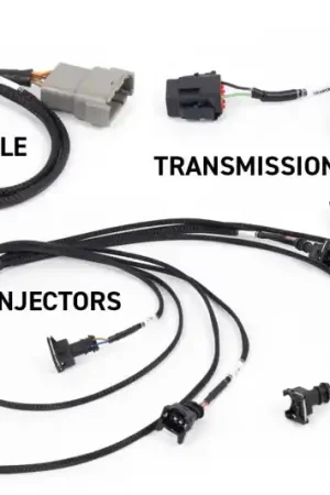 Deal Haltech NEXUS Rebel LS Gen III Cable Throttle/EV1 Injectors/Manual Transmission
