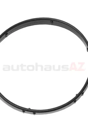 Eurospare 4362513 Thermostat Seal - Land Rover Must Have