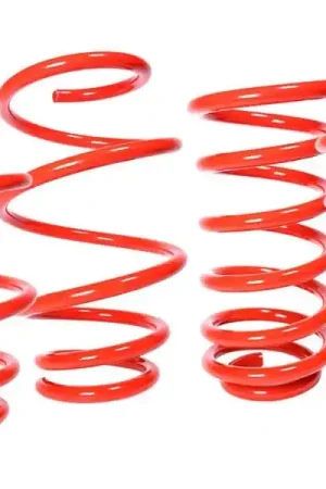 RST X51 Lowering Springs :: 2010-2015 Camaro Special Offer