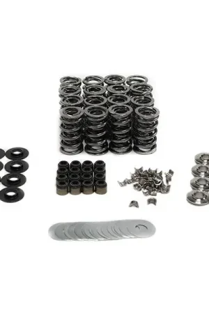 Price Cut BTR Gen V LT1 Platinum Dual Spring Kit, 0.660" Lift :: 2016-2024 Camaro SS w/Factory Valve Guides