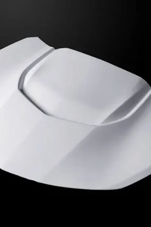 AmeriHood Type-ZL1 Style Functional Heat Extractor Hood, Fiberglass :: 2019-2024 Camaro Non-ZL1 New Release