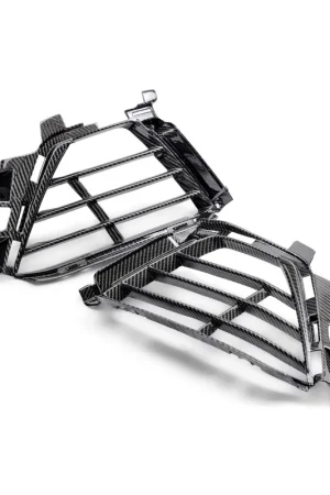 Premium Anderson Composites Type-OE Lower Grille, Carbon Fiber :: 2022-2025 Cadillac CT5-V Blackwing