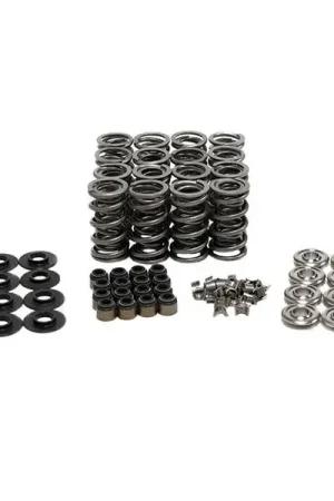 Buy Direct BTR Dual Spring Kit, 0.685" Lift :: 2014-2015 Camaro Z28 w/Factory Valve Guides