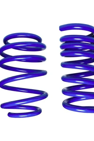 Steeda Dual Rate Ultimate Handling Lowering Springs :: 2015-2026 Ford Mustang w/ MagneRide Affordable