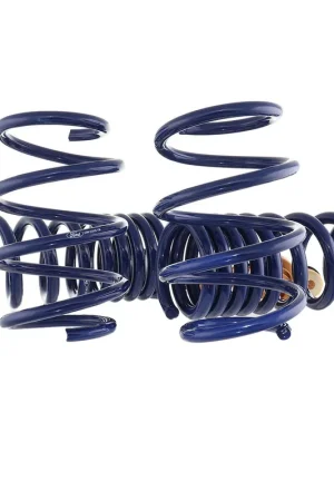 Discount Ford Performance 1" Track Lowering Springs :: 2024-2025 Ford Mustang GT w/o MagneRide