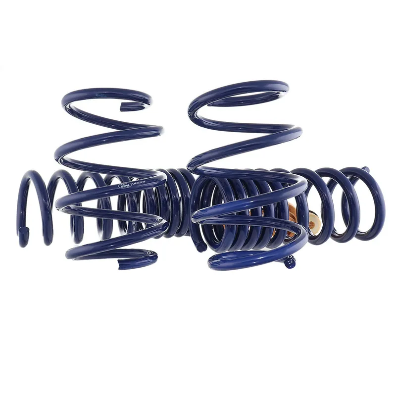 Discount Ford Performance 1" Track Lowering Springs :: 2024-2025 Ford Mustang GT w/o MagneRide