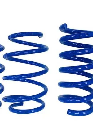 Sale Steeda Minimum Drop Linear Lowering Springs :: 2015-2026 Ford Mustang