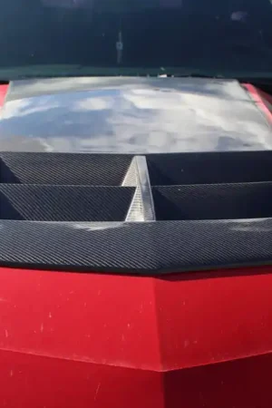 Today Only 5th Gen Camaro Hood Insert, Carbon Fiber :: 2010-2013 Camaro SS & 2010-2015 Camaro LS, LT & RS