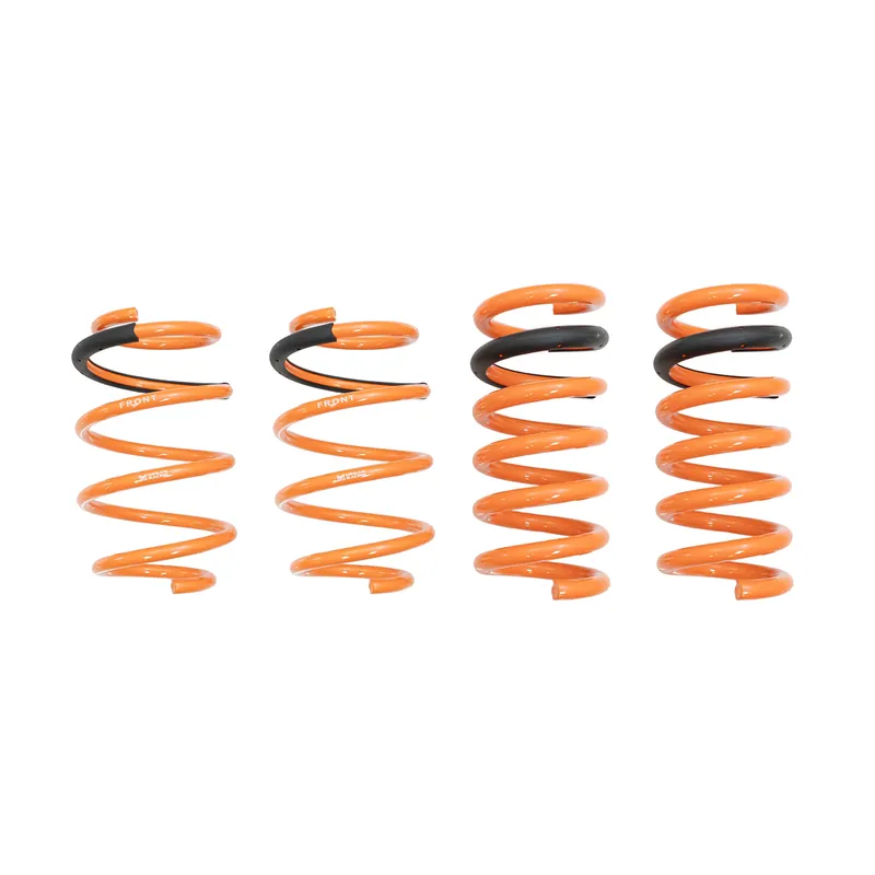 Megan Racing MagneRide Lowering Springs :: 2015-2026 Mustang w/MagneRide Best Price