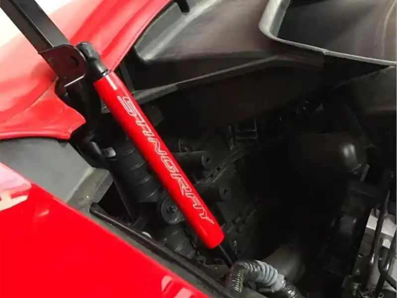 American Brother Designs Hood Shock Covers, Silhouette Logo, Color Options :: 2014-2019 C7 Corvette Stingray, Z06 - Clearance Weekend Sale