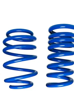 Premium Steeda Dual Rate Ultimate Handling Lowering Springs :: 2015-2026 Ford Mustang w/o Magneride