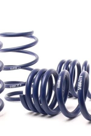 H&R Super Sport Lowering Springs :: 2015-2023 Ford Mustang w/o MagneRide Don’t Miss Out